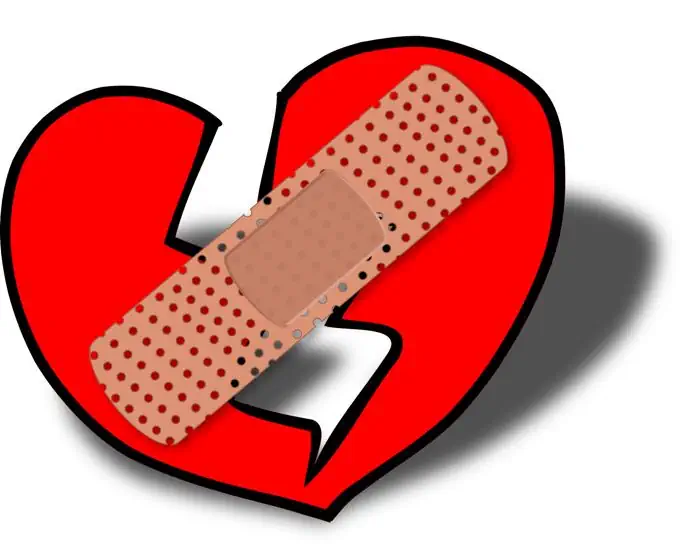 Heartbreak Survival Guide