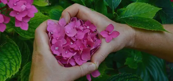 Loneliness after a Breakup: How to Feel Better
